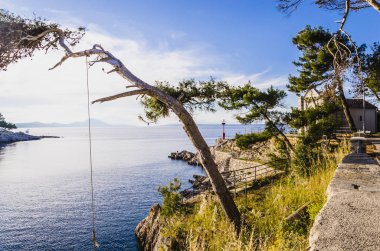 gün batımında sahil özelliği