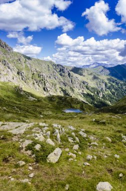 Yaz aylarında Alps görünümü
