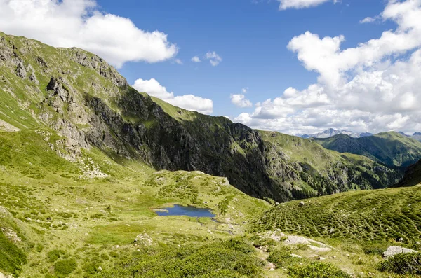 Yaz aylarında Alps görünümü