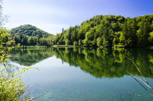 Reflexão da floresta sobre a água do lago em Plitvice lago — Fotografia de Stock