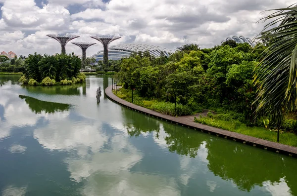 Zahrada Bay, Singapur — Stock fotografie