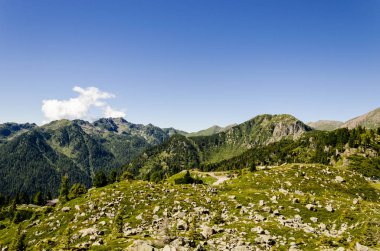 Yaz aylarında Alps görünümü