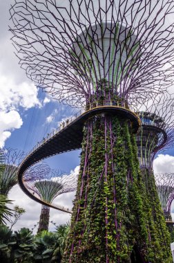 supertree Garden bay tarafından. Singapur.