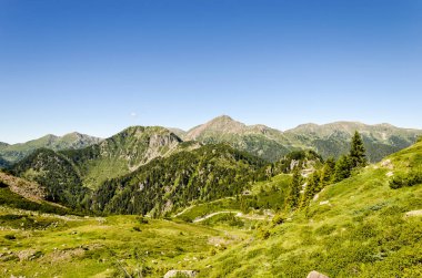 Yaz aylarında Alps görünümü