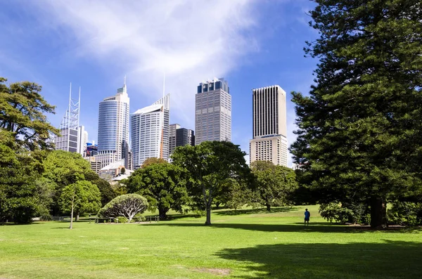 Sydney Şehir Merkezi Görünümü