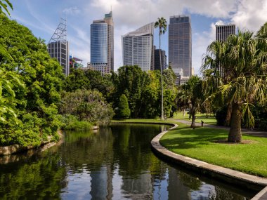 Sydney Şehir Merkezi Görünümü
