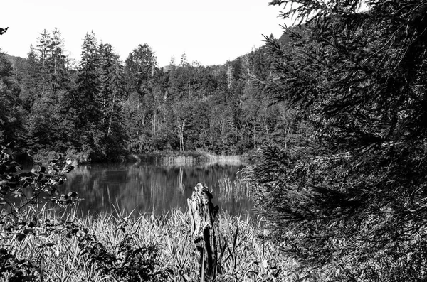 Paesaggio al parco dei laghi di Plitvice — Foto Stock