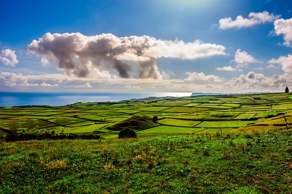 Landschap in Terceira Stockfoto