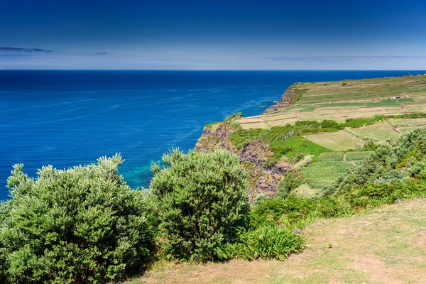 Littoral et falaise à Terceira — Photo