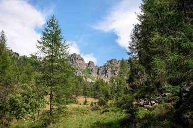 yaz aylarında alpler manzara