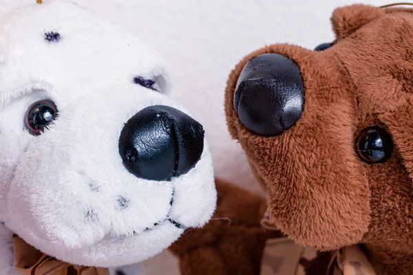 Perros Peluche Juntos Juguete Mascota Niño Infancia —  Fotos de Stock