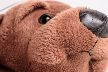 Lüks kahverengi bir köpeğin portresi. oyuncak, hayvan, çocuk, çocukluk.