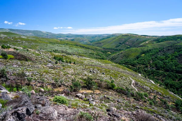 Natuurpark Van Montesinho Zomer Portugal Stockfoto