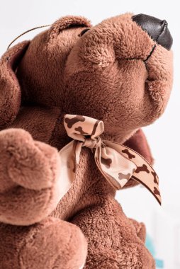 Aşağıdan lüks bir köpek manzarası. oyuncak, çocukluk, çocuk