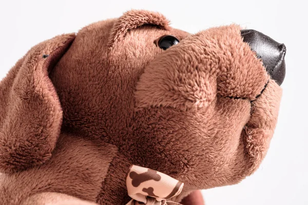 Lüks Kahverengi Bir Köpeğin Portresi Oyuncak Hayvan Çocuk Çocukluk — Stok fotoğraf