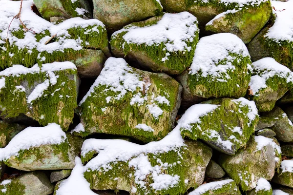 Śnieg i moss objęte skał — Zdjęcie stockowe