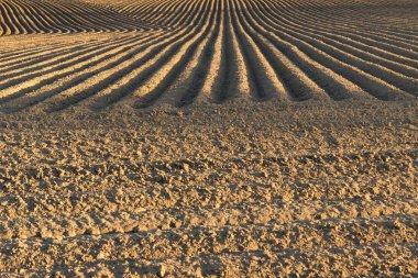 Gün batımında alan