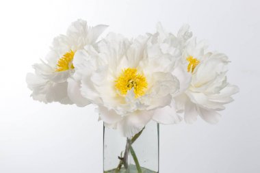 Buket sarı stamens ile beyaz peonies görünümünü