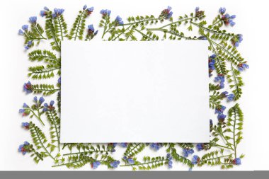 Pion ve metin için bir levha ile dekoratif çerçeve çiçek.