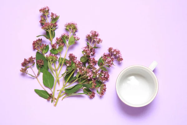 Bouquet of oregano plants with sheet of paper and cup on lilac background