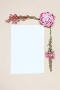 Şakayık bej renkli arka plan üzerinde kağıt ile dekoratif çiçek çerçeveli