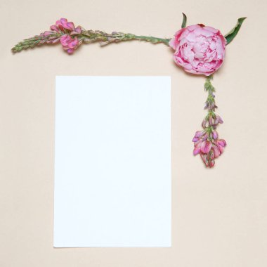 Şakayık bej renkli arka plan üzerinde kağıt ile dekoratif çiçek çerçeveli