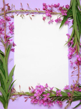 Söğüt-çay leylak bir arka plan üzerinde beyaz kağıt yalan bir daire içinde çerçeve çiçek.