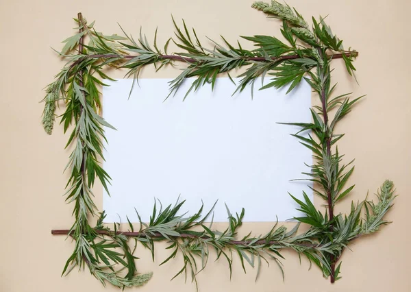 一个植物框架由艾草的树枝和白色的纸张躺在米色背景 — 图库照片