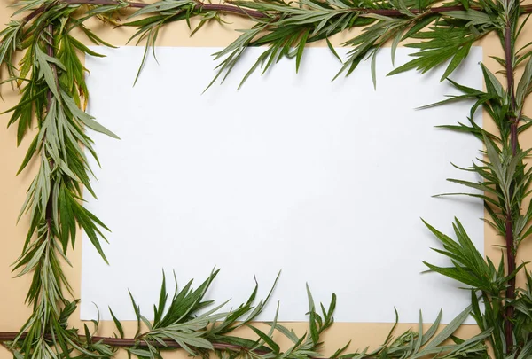 A plant frame made from twigs of wormwood and a white sheet of paper lying on a beige background.