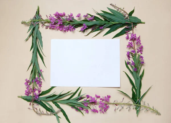 A floral frame of willow-tea in a circle of a white sheet of paper lies on a beige background.