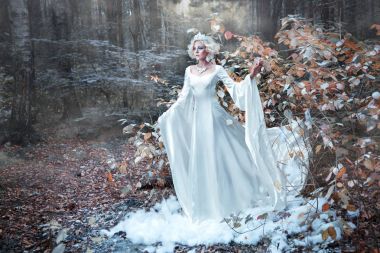 Fairytale kar kraliçesi beyaz elbise ve kış sonbahar ormanda getiren taç 