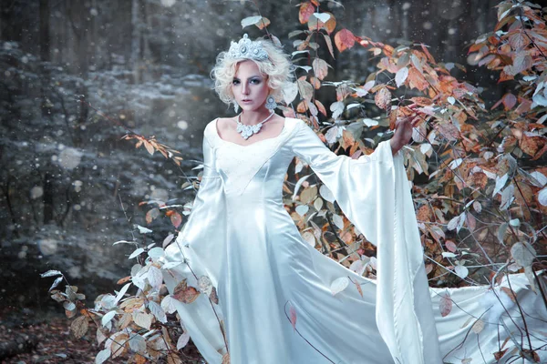 Казкова Снігова Королева Білій Сукні Корона Приносить Зиму Осінньому Лісі — стокове фото