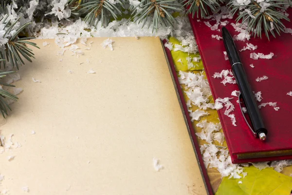 A könyv a hó, ágak, fa a hóban — Stock Fotó