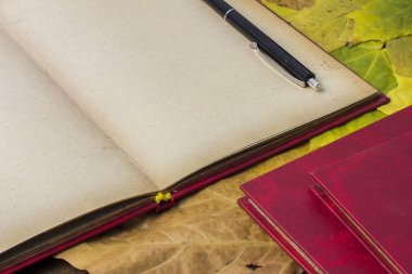 Açık kırmızı kitap, sarı sonbahar yaprakları