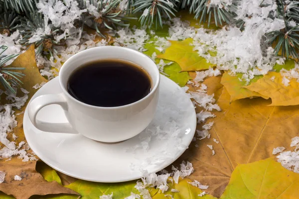 A hot drink in autumn, branches of spruce — Stock Photo, Image