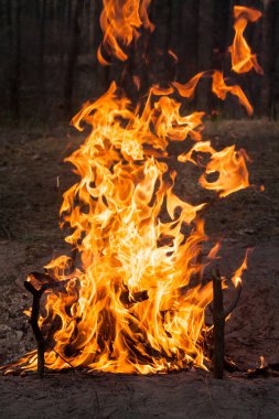 Doğal afet. Şenlik ateşi. Alevler.