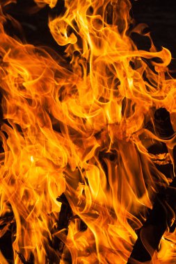 Doğal afet. Şenlik ateşi. Alevler.