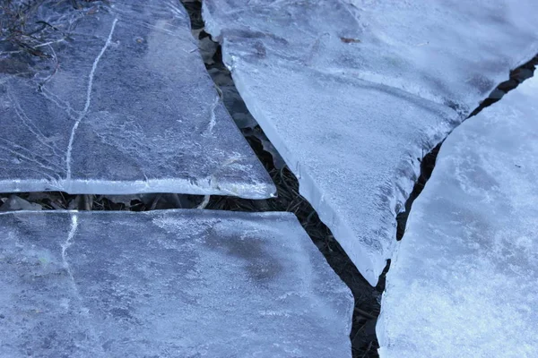 Parktaki donmuş su birikintisi.