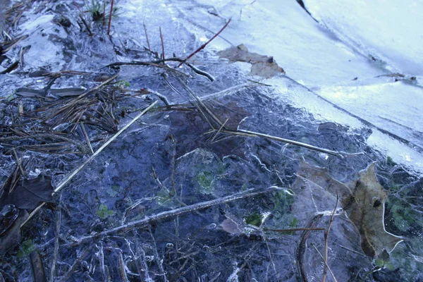 Puddle Macro Congelée Dans Parc — Photo