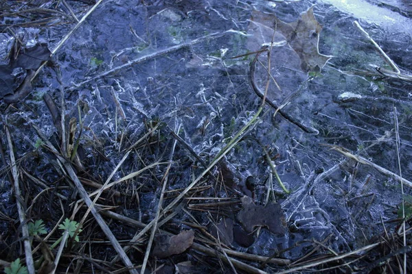 Parktaki donmuş su birikintisi.