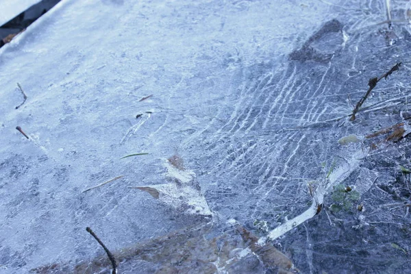 Parktaki donmuş su birikintisi.