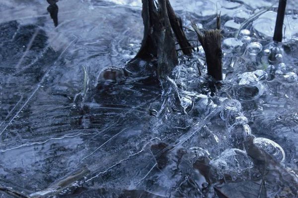 Parktaki donmuş su birikintisi.