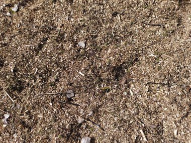 Tozun üzerindeki talaşları kapat.