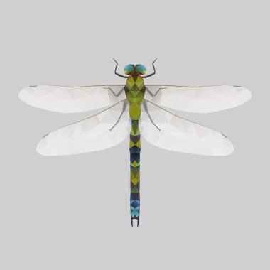 Yusufçuk, düşük Poli illüstrasyon