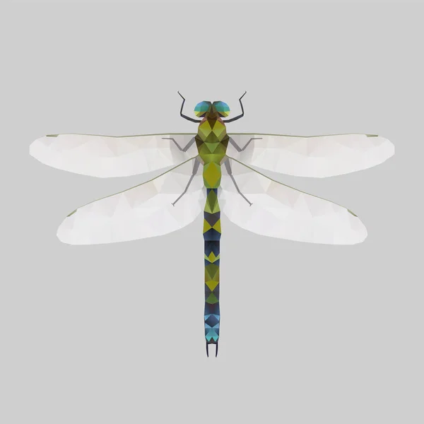 Dragonfly, nízké poly ilustrace — Stockový vektor