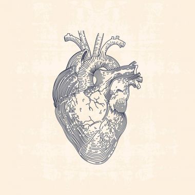Vintage çizgi çizme illüstrasyon insan kalp