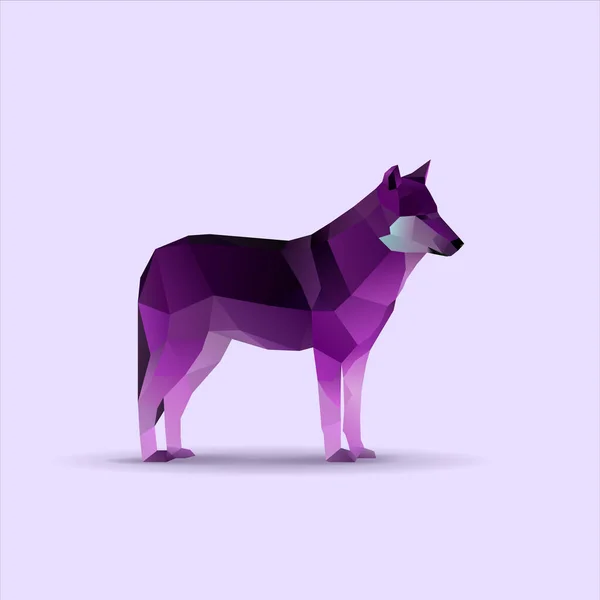 Wild Low Poly Lila Wolf Vektorillustration — Stockvektor