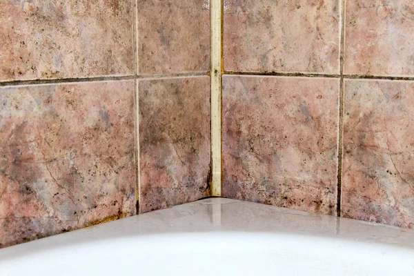 Грибок в ванной комнате — стоковое фото