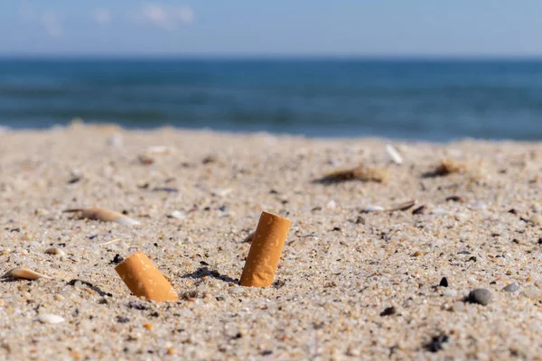 Zigaretten im Sand Umweltverschmutzung und Natur — Stockfoto