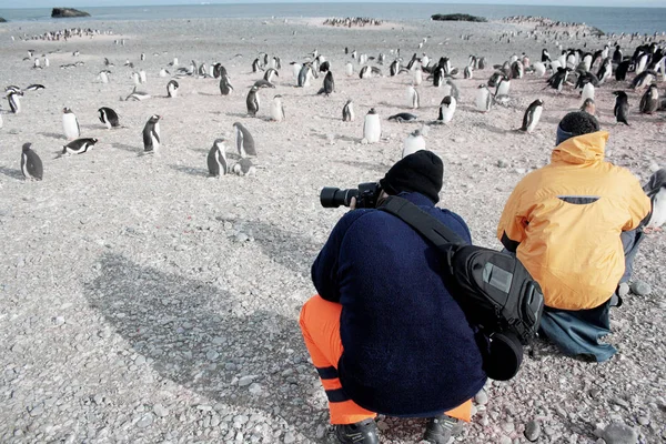 Наукова експедиція в Антарктиду — стокове фото
